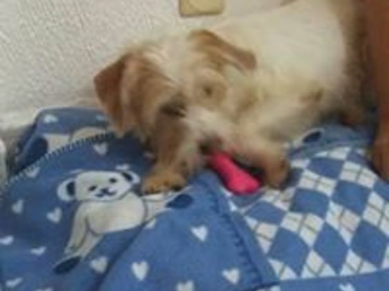 W a75758d6 9193 44a3 ac4a d1b47e6897ff