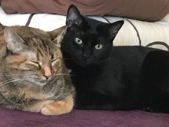 W 9621c665 4e5a 4592 8200 e2a61b4bafb5