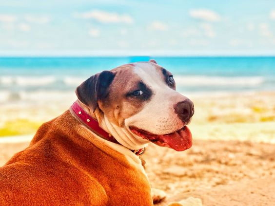 W 430b3a26 b2ab 467d b20e 8415c6537af6