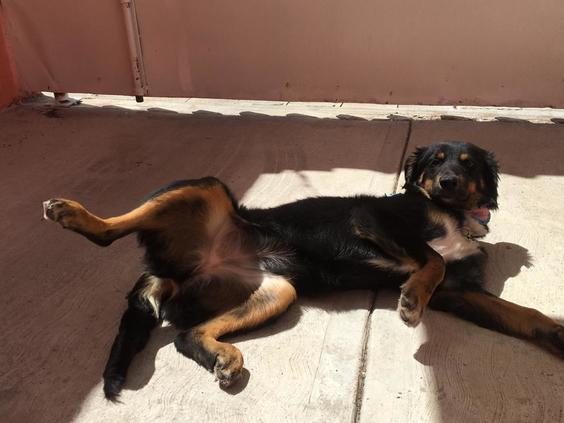 W 4989d500 372a 4759 a54a a32278f1f191