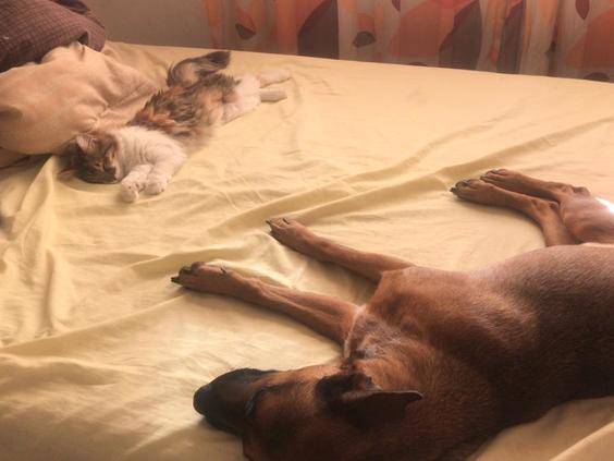 W 40773169 f00f 49b5 bf9e 21e15d534b0f