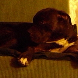 D d4945a36 02f5 40ee 8292 441eeacddbe8