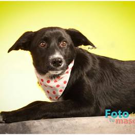 D dcdfd354 6fa5 429b bb14 21fdc4f79903