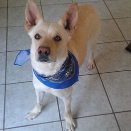 D 7b9a1618 fb2e 4d36 893a efeded91f20f