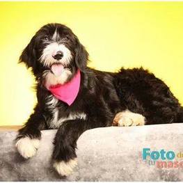 D 6a8f28a4 0e65 484e b909 c71da3ea34ba