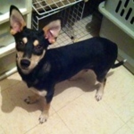 D 8d9b10ea cd6a 47bb a362 7921520111b4