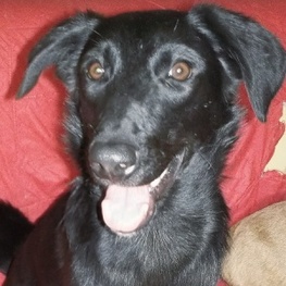 D 8ba1e22c 3193 488e ae9b 55340fd9685d