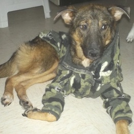 D 17731432 0850 4ec9 8bf3 7858dee368b9