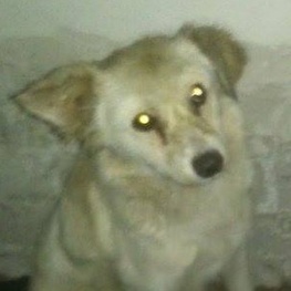 D a98bfabf 1331 4243 861b b2492485c125