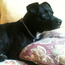 D 13d1f00d 7c07 4247 b553 0aacc8ebf38f