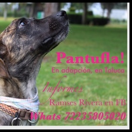 D 8cf42140 7780 4ee0 8d51 c90a3062b1d7