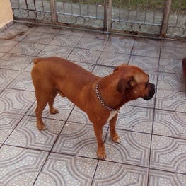 D 9122a04a 7d40 4a62 9b12 28a5a82f18bb