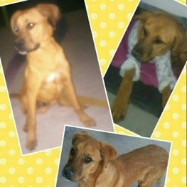 D e797745d 3df7 4ed3 8d22 8b2769cac3a6