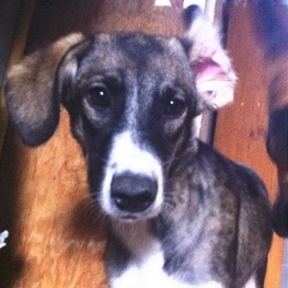 D 5dfb5e2e 14ac 443f b070 0f7b3dfdc117