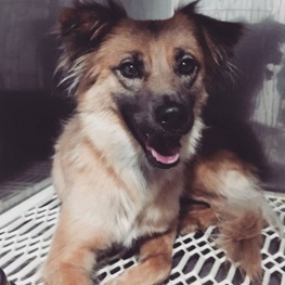 D a132670b adb1 441f b7a4 99d21f69fa4c