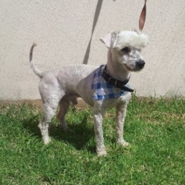 D 378a1c30 8dcd 47d4 b1ca 0562345a451a