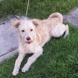 D ea4dd203 f7ab 481d a3b5 5c300383ba83