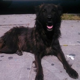 D 6ebd0d5e 85f0 4691 a39c e19cf2a6595d