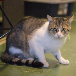 D f654800c 367d 4a49 b0f8 abce828dee9a