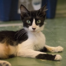 D d7315f7e 83c6 444b 8ae4 2c5f1ab9e499