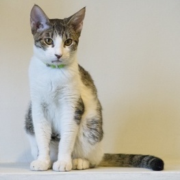 D ee7d4169 0912 4179 8e79 87f315e6ba07