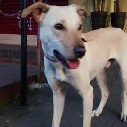 D 931f76e2 e3b4 4a40 b1ad 3dccc292a321