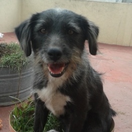 D 57a39a4b 372c 4ec5 87e7 69162998a173