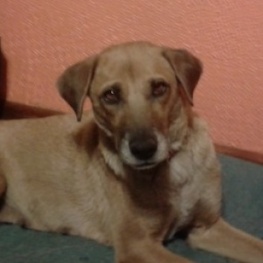 D a196e240 08a8 4ea7 8a1f 3d8239513908