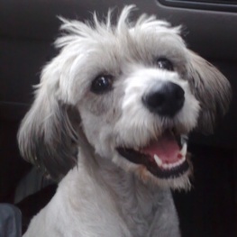 D 132813ff 74a9 439f 85a5 ee7ac8b2038a