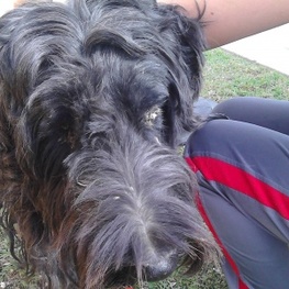 D 94681341 0260 4809 853e ab6e1e7c4824