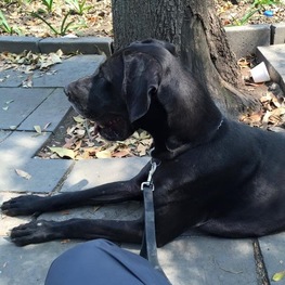 D 41a3f3f3 71a3 4f09 8aab a1670981f38c