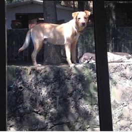 D 0e1221f1 5e87 41de 9432 f74db88f3365