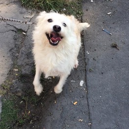 D 35b89ff5 622a 421f 90da 6f8962396438