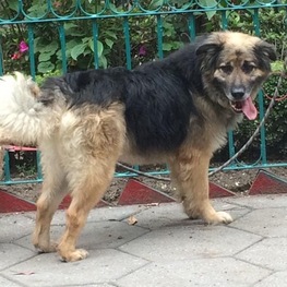 D 8cd95fef e9db 49ce b8fe 688d07ac2dae