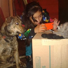 D 6ea2f0ba 0935 4f31 b2b9 8a4ca0561630