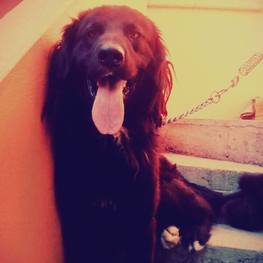 D 14855f90 5ed5 4580 85fd 1eb55fb6f329