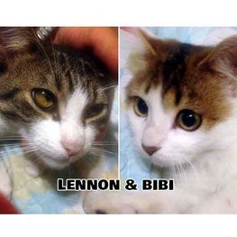 D 1369a97f a093 4d86 9686 28f8ca238c24