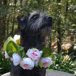 D 12aeb37a e79b 484e b640 3480c86677ee