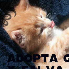 D c77f2bc8 fb71 4d3f 9b29 fb34cfc8cb0c