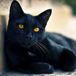 D 07d27185 fbfd 49f6 93e6 3a0dd5d91361