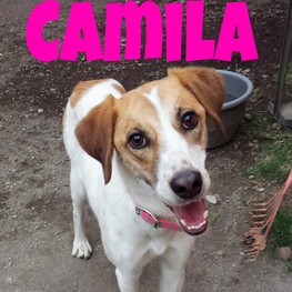 D e9a353a9 feaa 4c7a 9f7c e5ee7e99185a