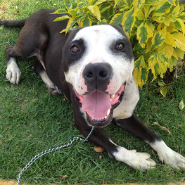 D 14c73e49 0bf7 481a b0c7 57638f14e0bb