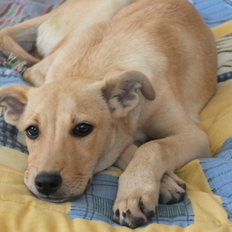 D 13f764ff 437f 4508 b554 10aa0cb5f5af