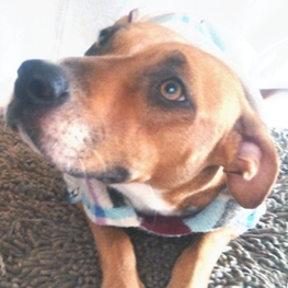 D 1d7ff2bc b4b4 46d6 bc32 f20c6323b737