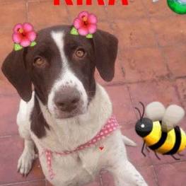 D 9e4d28b3 48af 471f 8ff3 80dd2738baa2