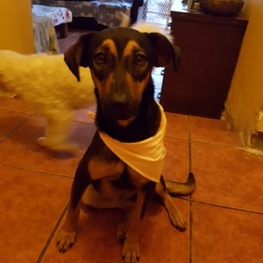 D 5829daad 5044 4f7d 8532 1ae07c79fb2c