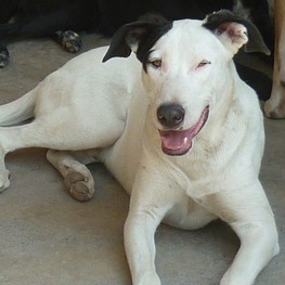 D e7634868 2120 4741 b097 759353797fa3