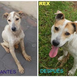 D 0fa4d0db 163e 439a aca9 22de75ce58be