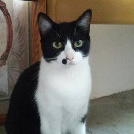 D 7e4142d1 35ce 49dd a516 f4d520b4070d