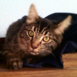 D bba508d6 4184 432d a380 695885a0e505